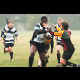 image 11 of 24